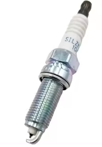 בעל הבית השתגע