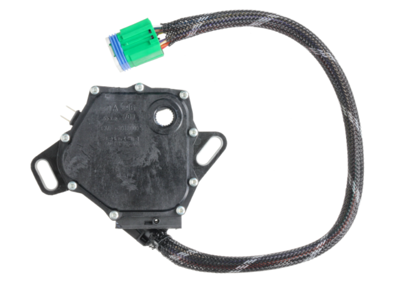 בעל הבית השתגע